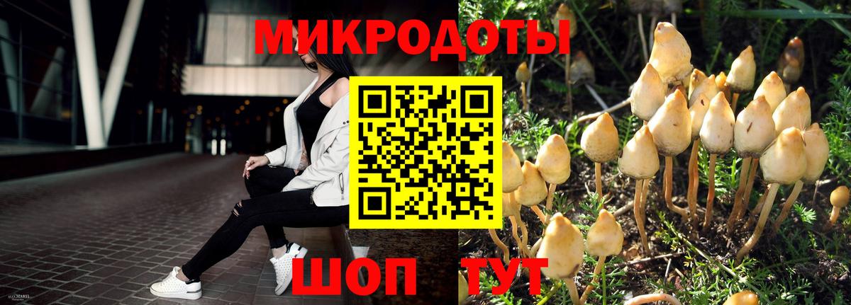 Галлюциногенные грибы мицелий  Вход с VPN  Заволжье 